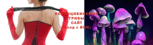 a pvp Абинск
