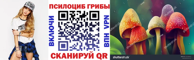 Галлюциногенные грибы Magic Shrooms  Киселёвск 